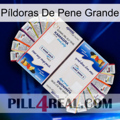 Píldoras De Pene Grande kamagra1